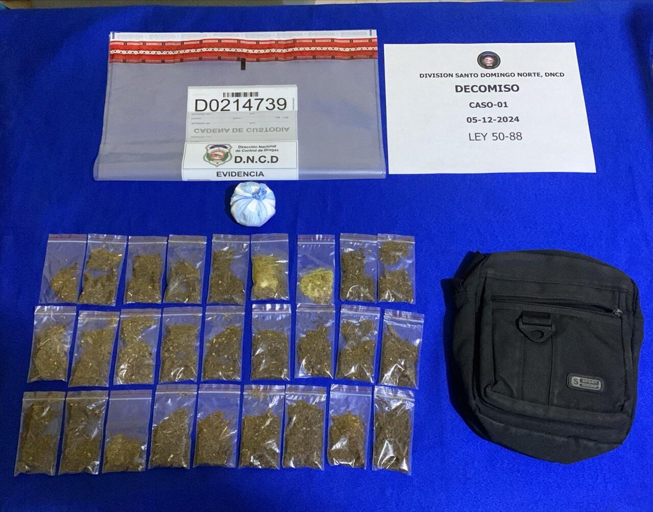 DNCD, MP y PN decomisan 292,844 gramos de distintas drogas en más de 4 mil operativos realizados en la semana pasada