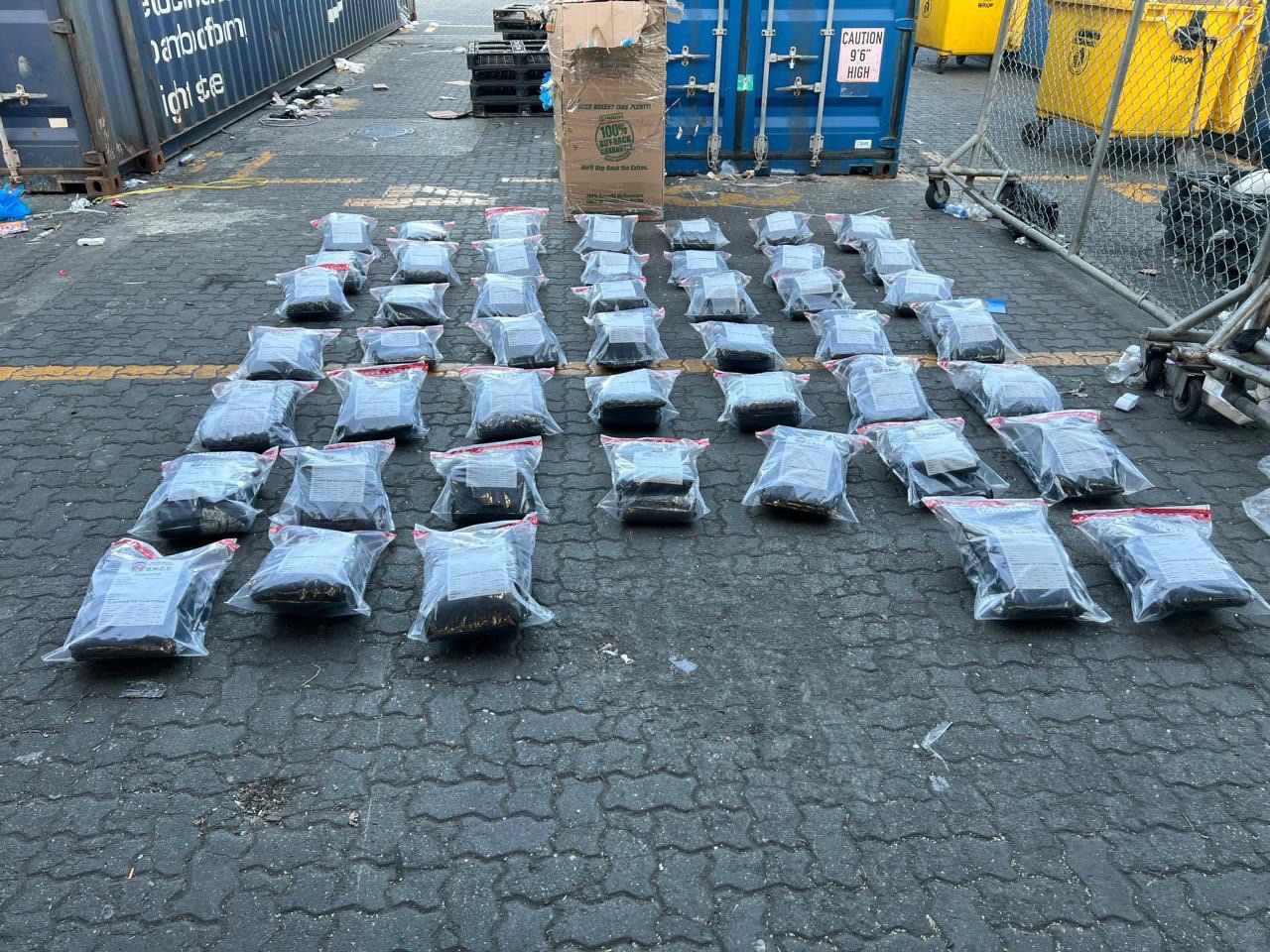 DNCD y MP decomisan 95 paquetes de marihuana en puerto de Haina, SDO