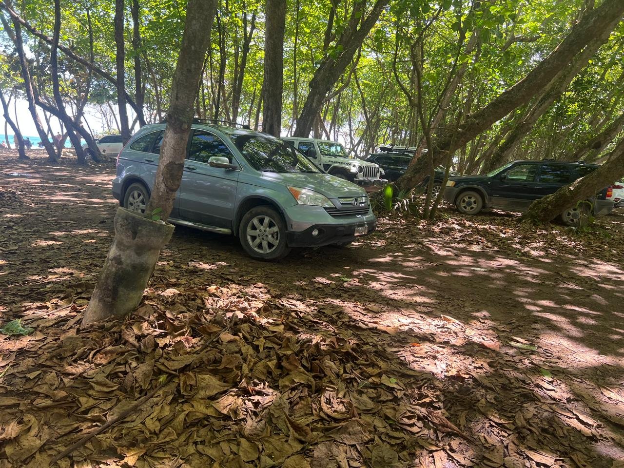 Medio Ambiente respalda reclamo para frenar tránsito de vehículos en Playa Encuentro