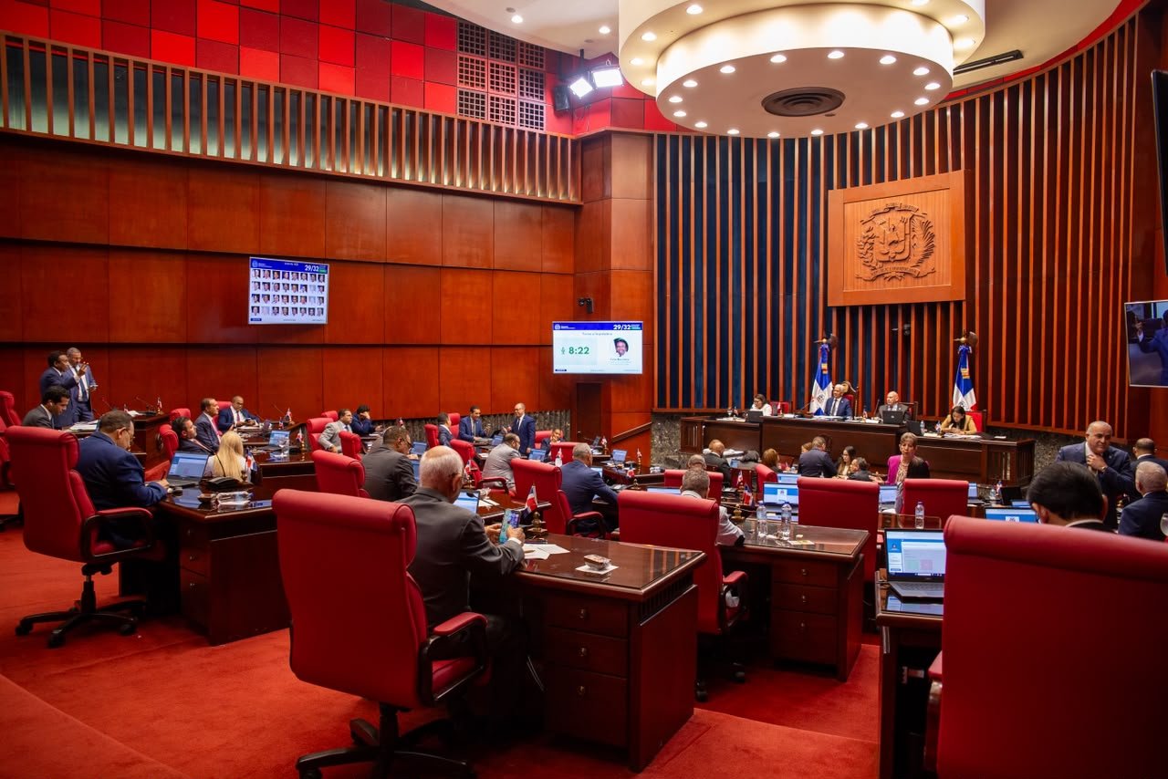 Senado aprueba en segunda lectura ley que crea el Instituto Nacional de Custodia a favor de las mujeres victimas de violencia de genero